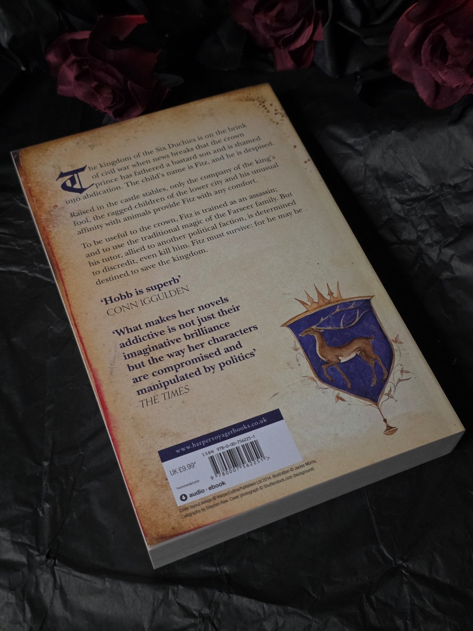 Assassin's Apprentice, by Robin Hobb - Book - The Dark Rose Emporium