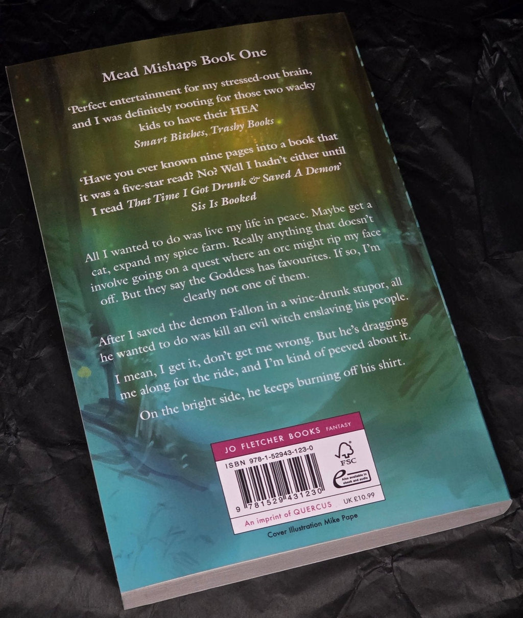 That Time I Got Drunk and Saved a Demon (Mead Mishaps 1), by Kimberly Lemming (softback, english edition) - Book - The Dark Rose Emporium