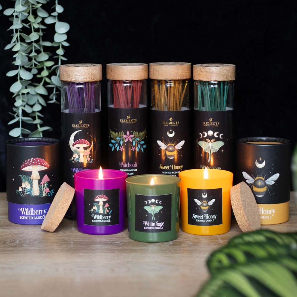 Forest Mushroom Wildberry Fragranced Glass Candle - Candle - The Dark Rose Emporium