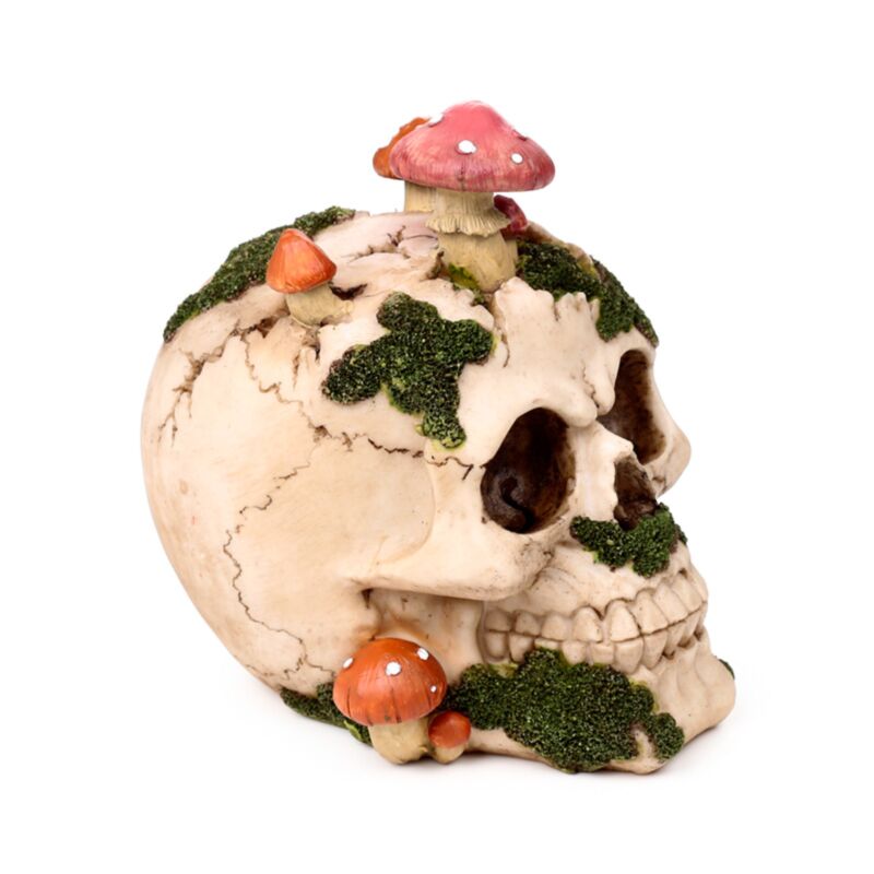 Skull With Mushrooms And Moss - Figurine - The Dark Rose Emporium