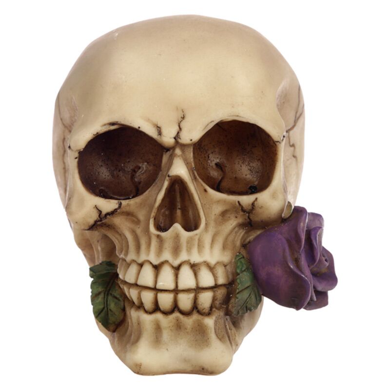 Skull & Bones With Single Purple Rose - Decoration - The Dark Rose Emporium