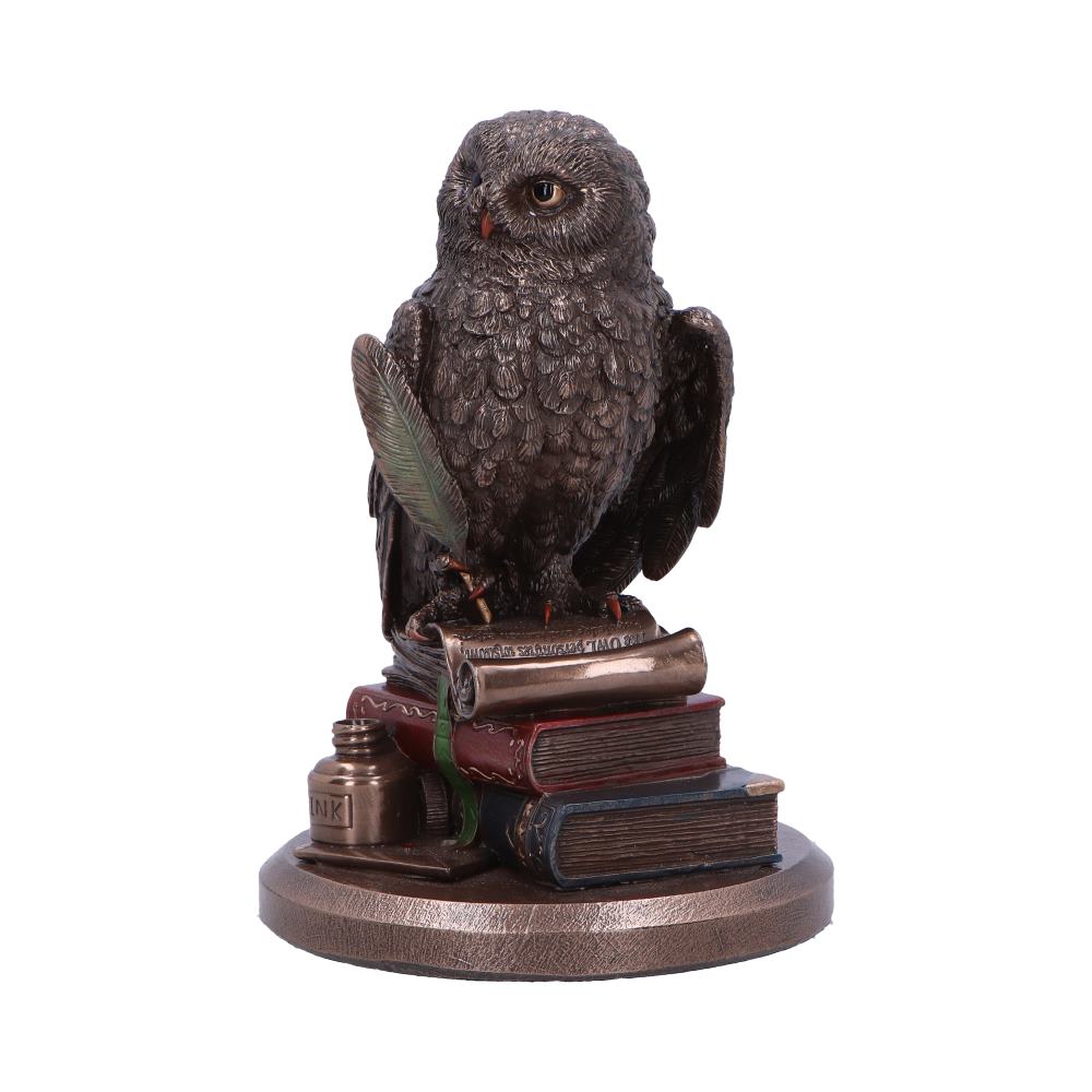 An Owl's Tale - Decoration - The Dark Rose Emporium