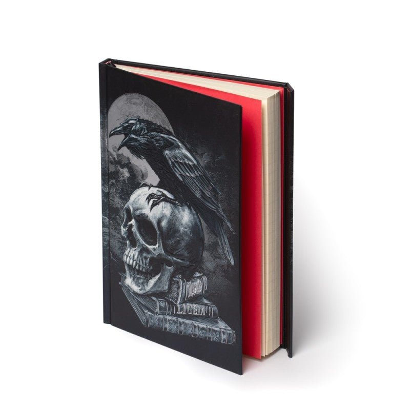 Poe's Raven (Foiled Journal) - Notepad - The Dark Rose Emporium