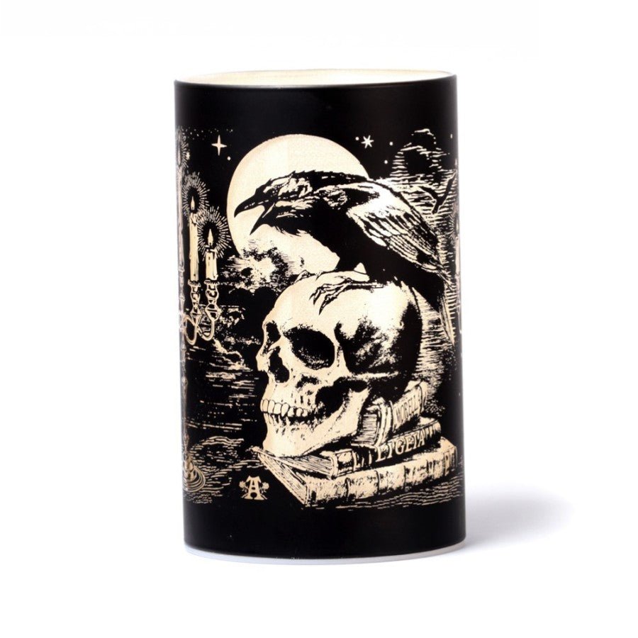 Poe's Raven Lantern - Lamp - The Dark Rose Emporium