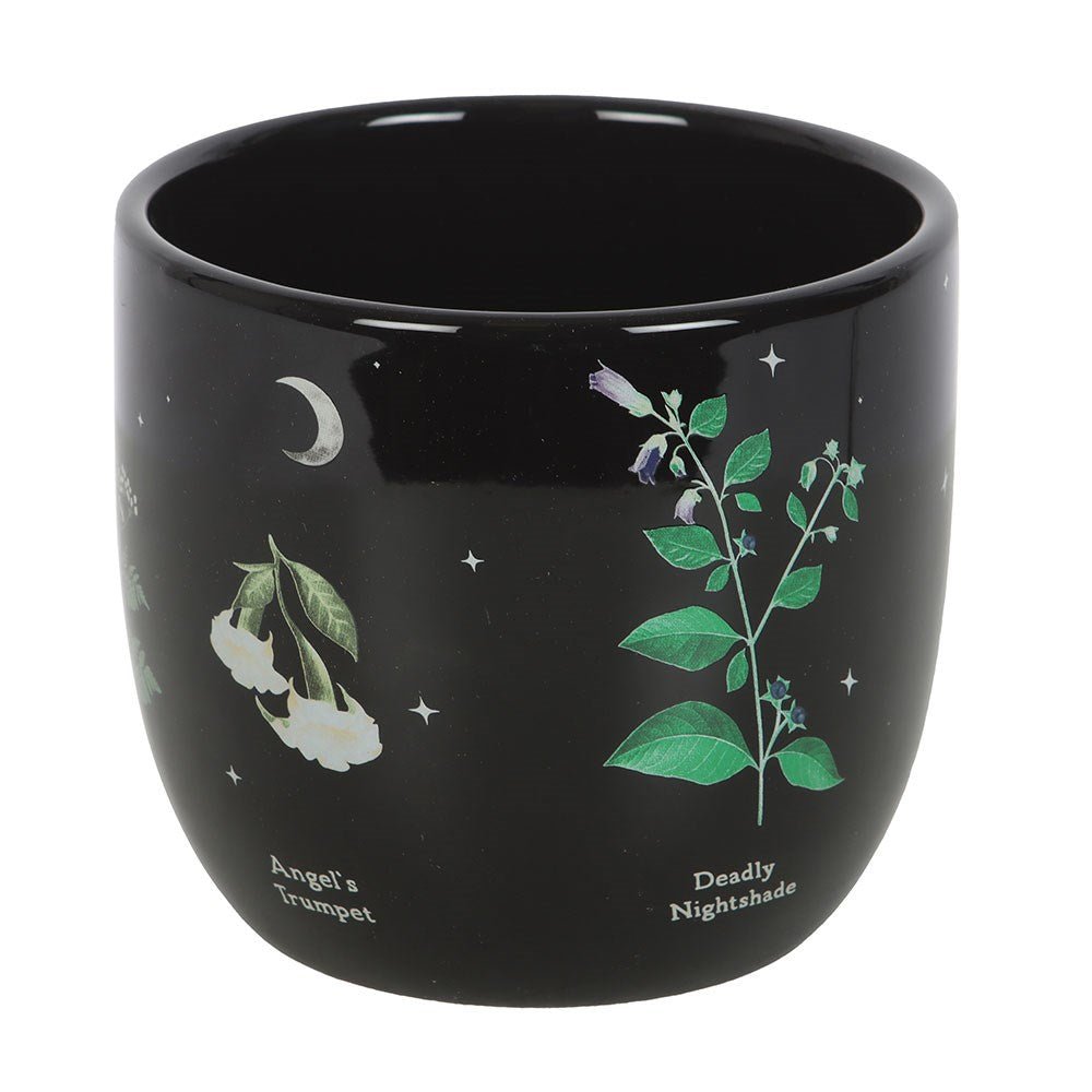 Venom & Vines Poisonous Plants Ceramic Plant Pot - Plant Pot - The Dark Rose Emporium