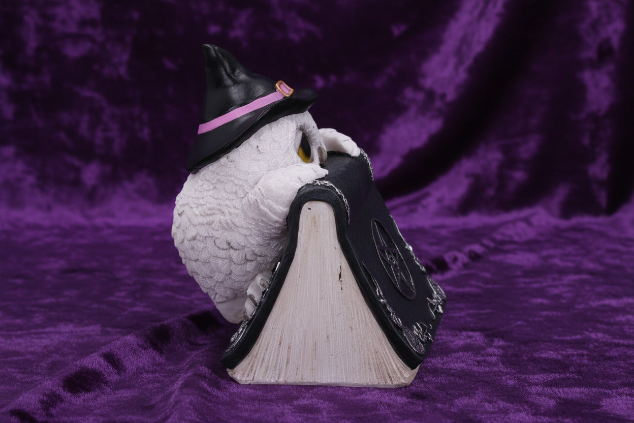 Owl's Spell - Decoration - The Dark Rose Emporium