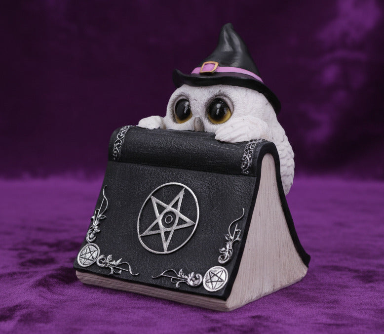 Owl's Spell - Decoration - The Dark Rose Emporium