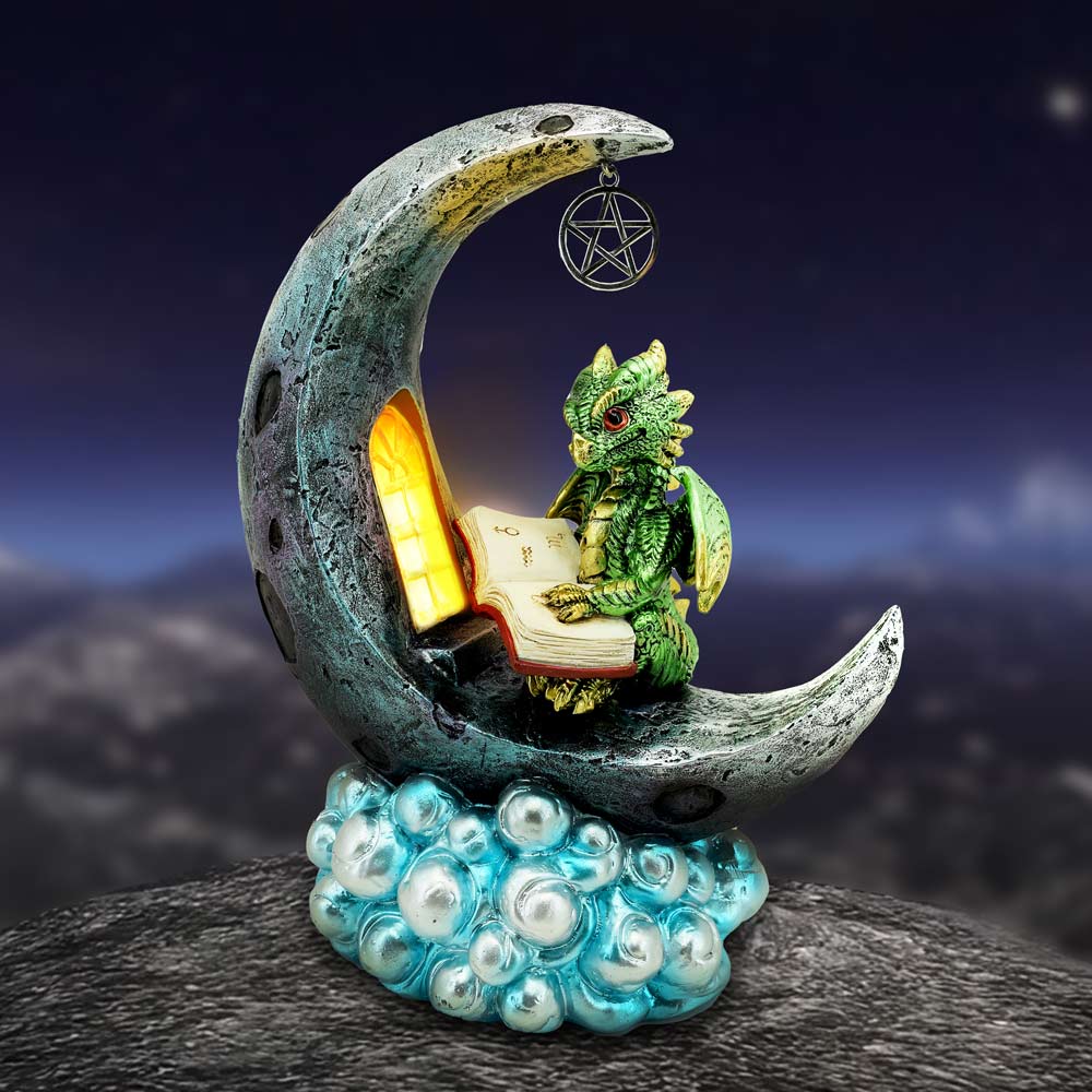 Moonbound Scholar - Decoration - The Dark Rose Emporium